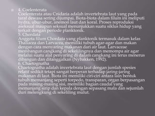  4. Coelenterata
Coelenterata atau Cnidaria adalah invertebrata laut yang pada
taraf dewasa sering dijumpai. Biota-biota dalam filum ini meliputi
hydra, ubur-ubur, anemon laut dan koral. Proses reproduksi
aseksual maupun seksual menunjukkan suatu siklus hidup yang
terkait dengan periode planktonik.
5. Chordata
Anggota filum Chordata yang planktonik termasuk dalam kelas
Thaliacea dan Larvacea, memiliki tubuh agar-agar dan makan
dengan cara menyaring makanan dari air laut. Larvaceae
membangun cangkang di sekelilingnya dan memompa air agar
melalui suatu alat penyaring di dalam cangkang ini terus menerus
dibangun dan ditanggalkan (Nybakken, 1992).
6. Chaetognatha
Chaetognatha adalah invertebrata laut dengan jumlah spesies
relatif sedikit tetapi sangat berperan terhadap jaring-jaring
makanan di laut. Biota ini memiliki ciri-ciri antara lain bentuk
tubuh memanjang seperti torpedo, transparan, organ berpasangan
pada masing-masing sisi, memiliki bagian caudal yang
memanjang sirip dan kepala dengan sepasang mata dan sejumlah
duri melengkung di sekeliling mulut.
 