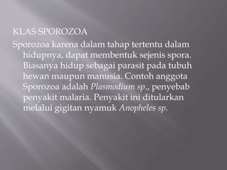 KLAS SPOROZOA
Sporozoa karena dalam tahap tertentu dalam
hidupnya, dapat membentuk sejenis spora.
Biasanya hidup sebagai parasit pada tubuh
hewan maupun manusia. Contoh anggota
Sporozoa adalah Plasmodium sp., penyebab
penyakit malaria. Penyakit ini ditularkan
melalui gigitan nyamuk Anopheles sp.
 