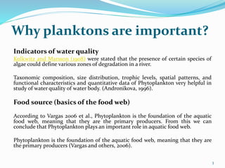 Plankton Importance and Classification