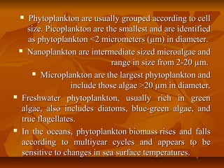  Phytoplankton are usually grouped according to cellPhytoplankton are usually grouped according to cell
size. Picoplankton are the smallest and are identifiedsize. Picoplankton are the smallest and are identified
as phytoplankton <2 micrometers (µm) in diameter.as phytoplankton <2 micrometers (µm) in diameter.
 Nanoplankton are intermediate sized microalgae andNanoplankton are intermediate sized microalgae and
range in size from 2-20 µm.range in size from 2-20 µm.
 Microplankton are the largest phytoplankton andMicroplankton are the largest phytoplankton and
include those algae >20 µm in diameter.include those algae >20 µm in diameter.
 Freshwater phytoplankton, usually rich in greenFreshwater phytoplankton, usually rich in green
algae, also includes diatoms, blue-green algae, andalgae, also includes diatoms, blue-green algae, and
true flagellates.true flagellates.
 In the oceans, phytoplanktonIn the oceans, phytoplankton biomassbiomass rises and fallsrises and falls
according to multiyear cycles and appears to beaccording to multiyear cycles and appears to be
sensitive to changes in sea surface temperatures.sensitive to changes in sea surface temperatures.
 