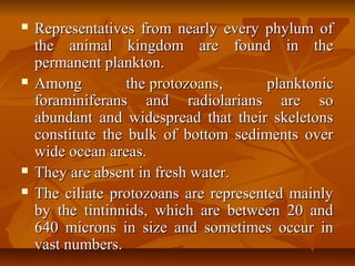 Representatives from nearly every phylum ofRepresentatives from nearly every phylum of
the animal kingdom are found in thethe animal kingdom are found in the
permanent plankton.permanent plankton.
 Among theAmong the protozoansprotozoans, planktonic, planktonic
foraminiferans and radiolarians are soforaminiferans and radiolarians are so
abundant and widespread that their skeletonsabundant and widespread that their skeletons
constitute the bulk of bottom sediments overconstitute the bulk of bottom sediments over
wide ocean areas.wide ocean areas.
 They are absent in fresh water.They are absent in fresh water.
 The ciliate protozoans are represented mainlyThe ciliate protozoans are represented mainly
by the tintinnids, which are between 20 andby the tintinnids, which are between 20 and
640 microns in size and sometimes occur in640 microns in size and sometimes occur in
vast numbers.vast numbers.
 