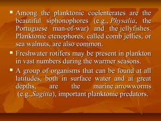  Among the planktonic coelenterates are theAmong the planktonic coelenterates are the
beautiful siphonophores (e.g.,beautiful siphonophores (e.g., PhysaliaPhysalia, the, the
Portuguese man-of-war) and thePortuguese man-of-war) and the jellyfishesjellyfishes..
Planktonic ctenophores, called comb jellies, orPlanktonic ctenophores, called comb jellies, or
sea walnuts, are also common.sea walnuts, are also common.
 Freshwater rotifers may be present in planktonFreshwater rotifers may be present in plankton
in vast numbers during the warmer seasons.in vast numbers during the warmer seasons.
 A group of organisms that can be found at allA group of organisms that can be found at all
latitudes, both in surface water and at greatlatitudes, both in surface water and at great
depths, are the marinedepths, are the marine arrowwormsarrowworms
(e.g.,(e.g.,SagittaSagitta), important planktonic predators.), important planktonic predators.
 
