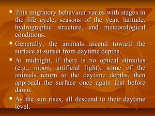  This migratory behaviour varies with stages inThis migratory behaviour varies with stages in
the life cycle, seasons of the year, latitude,the life cycle, seasons of the year, latitude,
hydrographic structure, and meteorologicalhydrographic structure, and meteorological
conditions.conditions.
 Generally, the animals ascend toward theGenerally, the animals ascend toward the
surface at sunset from daytime depths.surface at sunset from daytime depths.
 At midnight, if there is no optical stimulusAt midnight, if there is no optical stimulus
(e.g., moon, artificial light), some of the(e.g., moon, artificial light), some of the
animals return to the daytime depths, thenanimals return to the daytime depths, then
approach the surface once again just beforeapproach the surface once again just before
dawn.dawn.
 As the sun rises, all descend to their daytimeAs the sun rises, all descend to their daytime
level.level.
 