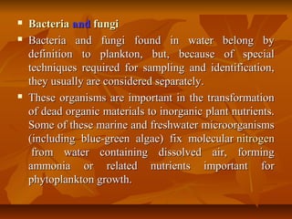  BacteriaBacteria and  and fungifungi
 Bacteria and fungi found in water belong byBacteria and fungi found in water belong by
definition to plankton, but, because of specialdefinition to plankton, but, because of special
techniques required for sampling and identification,techniques required for sampling and identification,
they usually are considered separately.they usually are considered separately.
 These organisms are important in the transformationThese organisms are important in the transformation
of dead organic materials to inorganic plant nutrients.of dead organic materials to inorganic plant nutrients.
Some of these marine and freshwater microorganismsSome of these marine and freshwater microorganisms
(including blue-green algae) fix molecular(including blue-green algae) fix molecular nitrogennitrogen
from water containing dissolved air, formingfrom water containing dissolved air, forming
ammonia or related nutrients important forammonia or related nutrients important for
phytoplankton growth.phytoplankton growth.
 