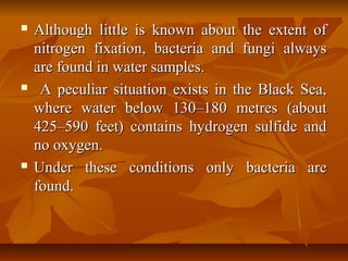  Although little is known about the extent ofAlthough little is known about the extent of
nitrogen fixation, bacteria and fungi alwaysnitrogen fixation, bacteria and fungi always
are found in water samples.are found in water samples.
 A peculiar situation exists in the Black Sea,A peculiar situation exists in the Black Sea,
where water below 130–180 metres (aboutwhere water below 130–180 metres (about
425–590 feet) contains hydrogen sulfide and425–590 feet) contains hydrogen sulfide and
no oxygen.no oxygen.
 Under these conditions only bacteria areUnder these conditions only bacteria are
found.found.
 