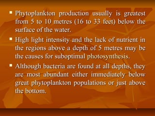  Phytoplankton production usually is greatestPhytoplankton production usually is greatest
from 5 to 10 metres (16 to 33 feet) below thefrom 5 to 10 metres (16 to 33 feet) below the
surface of the water.surface of the water.
 High light intensity and the lack of nutrient inHigh light intensity and the lack of nutrient in
the regions above a depth of 5 metres may bethe regions above a depth of 5 metres may be
the causes for suboptimalthe causes for suboptimal photosynthesisphotosynthesis..
 Although bacteria are found at all depths, theyAlthough bacteria are found at all depths, they
are most abundant either immediately beloware most abundant either immediately below
great phytoplankton populations or just abovegreat phytoplankton populations or just above
the bottom.the bottom.
 