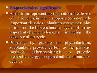  Biogeochemical significanceBiogeochemical significance
 Aside from representing the bottom few levelsAside from representing the bottom few levels
of aof a food chainfood chain that supportsthat supports commerciallycommercially
importantimportant fisheriesfisheries, plankton, plankton ecosystemsecosystems playplay
a role in thea role in the biogeochemical cyclesbiogeochemical cycles of manyof many
importantimportant chemical elementschemical elements, including the, including the
ocean'socean's carbon cyclecarbon cycle..
 Primarily by grazing on phytoplankton,Primarily by grazing on phytoplankton,
zooplankton provide carbon to the plankticzooplankton provide carbon to the planktic
foodwebfoodweb, either, either respiringrespiring it to provideit to provide
metabolicmetabolic energy, or upon death asenergy, or upon death as biomassbiomass oror
detritusdetritus..
 