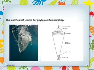 Planktons