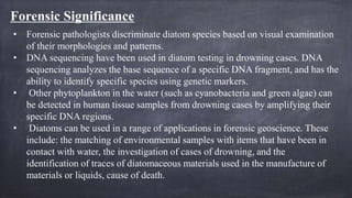 • Plankton Notes. (2020). [Ebook]. Retrieved 29 October 2020, from
https://sealevel.jpl.nasa.gov/files/archive/activities/...