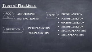 • Planktonic plants are called phytoplankton.
• The primary importance of these plants, like plants on land, is their abil...