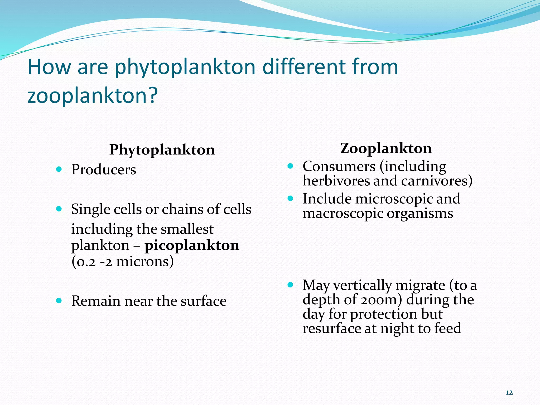 Plankton isolation / Classification | PPTX