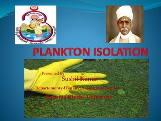 Plankton isolation / Classification | PPTX