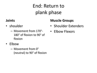 End: Return to
plank phase
Joints
• shoulder
– Movement from 170°-
180° of flexion to 90° of
flexion
• Elbow
– Movement from 0°
(neutral) to 90° of flexion
Muscle Groups
• Shoulder Extenders
• Elbow Flexors
 
