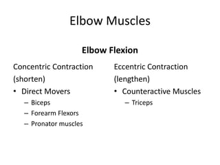Elbow Muscles
Elbow Flexion
Concentric Contraction
(shorten)
• Direct Movers
– Biceps
– Forearm Flexors
– Pronator muscles
Eccentric Contraction
(lengthen)
• Counteractive Muscles
– Triceps
 