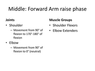 Middle: Forward Arm raise phase
Joints
• Shoulder
– Movement from 90° of
flexion to 170°-180° of
flexion
• Elbow
– Movement from 90° of
flexion to 0° (neutral)
Muscle Groups
• Shoulder Flexors
• Elbow Extenders
 