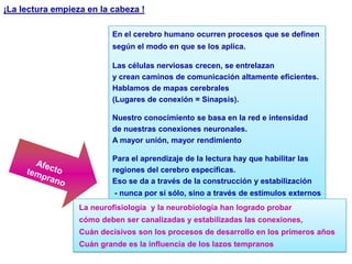 ¡La lectura empieza en la cabeza !En el cerebro humano ocurren procesos que se definen según el modo en que se los aplica.  Las células nerviosas crecen, se entrelazan y crean caminos de comunicación altamente eficientes.Hablamos de mapas cerebrales(Lugares de conexión = Sinapsis).Nuestro conocimiento se basa en la red e intensidad  de nuestras conexiones neuronales.A mayor unión, mayor rendimiento Para el aprendizaje de la lectura hay que habilitar lasregiones del cerebro específicas. Eso se da a través de la construcción y estabilización  - nunca por sí sólo, sino a través de estímulos externosAfecto temprano La neurofisiología  y la neurobiología han logrado probar cómo deben ser canalizadas y estabilizadas las conexiones, Cuán decisivos son los procesos de desarrollo en los primeros años Cuán grande es la influencia de los lazos tempranos