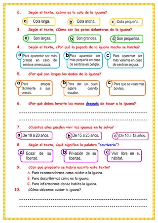 2. Según el texto, ¿cómo es la cola de la iguana?
3. Según el texto, ¿Cómo son las patas delanteras de la iguana?
4. Según el texto, ¿Por qué la papada de la iguana macho se hincha?
5. ¿Por qué son largos los dedos de la iguana?
6. ¿Por qué debes lavarte las manos después de tocar a la iguana?
-------------------------------------------------------------
-------------------------------------------------------------
7. ¿Cuántos años pueden vivir las iguanas en la selva?
8. Según el texto, ¿qué significa la palabra “cautiverio”?
9. ¿Con qué propósito se habrá escrito este texto?
A. Para recomendarnos como cuidar a la iguana.
B. Para describirnos cómo es la iguana.
C. Para informarnos donde habita la iguana.
10. ¿Cómo debemos cuidar la iguana?
-------------------------------------------------------------
-------------------------------------------------------------
Consumían los
Cola larga. Consumían los
Cola ancha. Consumían los
Cola pequeña.
c
b
a
Consumían los
Son largas. Consumían los
Son grandes. Consumían los
Son pequeñas.
c
b
a
Consumían los
Para aparentar ser más
grande en caso de
sentirse amenazada.
a
Consumían los
Para aparentar ser
más pequeña en caso
de sentirse en peligro.
Consumían los
Para aparentar ser
más valiente en caso
de sentirse segura.
c
b
Consumían los
Para atrapar
fácilmente a sus
presas.
a
Consumían los
Para dar un buen
agarre cuando
escalan.
Consumían los
Para que se vean más
bonitos.
c
b
Consumían los
De 10 a 20 años. Consumían los
De 15 a 25 años. Consumían los
De 10 a 15 años.
c
b
a
Consumían los
Gozar de su
libertad.
a
Consumían los
Privación de su
libertad.
Consumían los
Vivir libre en su
hábitat.
c
b
 