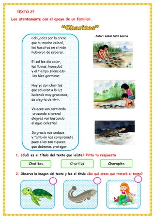 TEXTO 27
Lee atentamente con el apoyo de un familiar.
Cobijados por la arena
que su madre colocó,
los huevitos en el nido
hubieron de esperar.
El sol les dio calor,
las lluvias, humedad
y el tiempo silencioso
los hizo germinar.
Hoy ya son charitos
que salieron a la luz
luciendo muy graciosas,
su alegría de vivir.
Veloces van corriendo
cruzando el arenal
alegres van buscando
el agua celestial.
Su gracia nos seduce
y también nos compromete
pues ellas son riqueza
que debemos proteger.
1. ¿Cuál es el título del texto que leíste? Pinta tu respuesta
2. Observa la imagen del texto y lee el título ¿De qué crees que tratará el texto?
Chatitos Charitos Charapita
Autor: Gabel Sotil García
 