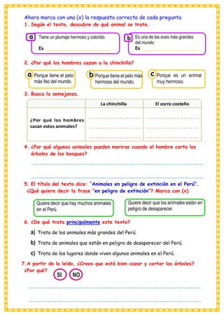 Ahora marca con una (x) la respuesta correcta de cada pregunta
1. Según el texto, descubre de qué animal se trata.
2. ¿Por qué los hombres cazan a la chinchilla?
3. Busca la semejanza.
4. ¿Por qué algunos animales pueden morirse cuando el hombre corta los
árboles de los bosques?
5. El título del texto dice: “Animales en peligro de extinción en el Perú”.
¿Qué quiere decir la frase "en peligro de extinción"? Marca con (x)
6. ¿De qué trata principalmente este texto?
a) Trata de los animales más grandes del Perú.
b) Trata de animales que están en peligro de desaparecer del Perú.
c) Trata de los lugares donde viven algunos animales en el Perú.
7.A partir de lo leído, ¿Crees que está bien cazar y cortar los árboles?
¿Por qué?
Tiene un plumaje hermoso y colorido.
Es ___________________________
a Es una de las aves más grandes
del mundo.
Es ________________________
b
Consumían los
Porque tiene el pelo
más feo del mundo.
a
Consumían los
Porque tiene el pelo más
hermoso del mundo.
.
Consumían los
Porque es un animal
muy hermoso.
c
b
Quiere decir que hay muchos animales
en el Perú.
Quiere decir que los animales están en
peligro de desaparecer.
SI NO
--------------------------------------------------------------------------------
--------------------------------------------------------------------------------
---------------------------------------
--------------------------------------------------------------------------------
--------------------------------------------------------------------------------
 