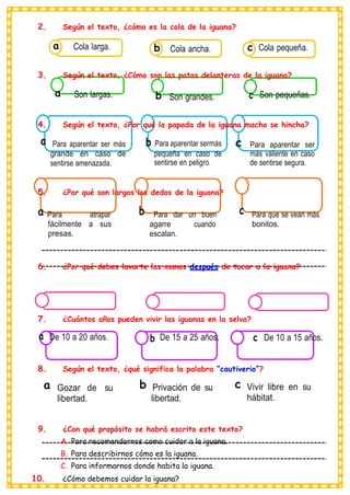 2. Según el texto, ¿cómo es la cola de la iguana?
a Cola larga. b Cola ancha. c Cola pequeña.
3. Según el texto, ¿Cómo son las patas delanteras de la iguana?
a Son largas. b Son grandes. c Son pequeñas.
4. Según el texto, ¿Por qué la papada de la iguana macho se hincha?
a Para aparentar ser más
grande en caso de
sentirse amenazada.
b Para aparentar sermás
pequeña en caso de
sentirse en peligro.
c Para aparentar ser
más valiente en caso
de sentirse segura.
5. ¿Por qué son largos los dedos de la iguana?
a Para atrapar
fácilmente a sus
presas.
b Para dar un buen
agarre cuando
escalan.
c Para que se vean más
bonitos.
6. ¿Por qué debes lavarte las manos después de tocar a la iguana?
7. ¿Cuántos años pueden vivir las iguanas en la selva?
a De 10 a 20 años. b De 15 a 25 años. c De 10 a 15 años.
8. Según el texto, ¿qué significa la palabra “cautiverio”?
a Gozar de su
libertad.
b Privación de su
libertad.
c Vivir libre en su
hábitat.
9. ¿Con qué propósito se habrá escrito este texto?
A. Para recomendarnos como cuidar a la iguana.
B. Para describirnos cómo es la iguana.
C. Para informarnos donde habita la iguana.
10. ¿Cómo debemos cuidar la iguana?
 