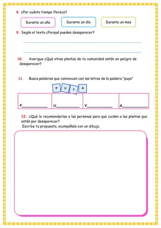 8. ¿Por cuánto tiempo florece?
Durante un año Durante un día Durante un mes
9. Según el texto ¿Porqué pueden desaparecer?
10. Averigua ¿Qué otras plantas de tu comunidad están en peligro de
desaparecer?
11. Busca palabras que comiencen con las letras de la palabra "puya"
A
P U Y A
12. ¿Qué le recomendarías a las personas para que cuiden a las plantas que
están por desaparecer?
Escribe tu propuesta, acompáñala con un dibujo.
 