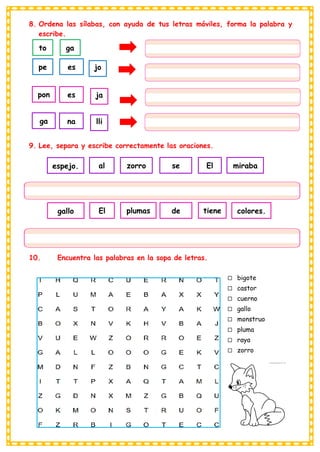 8. Ordena las sílabas, con ayuda de tus letras móviles, forma la palabra y
escribe.
jo
ja
lli
9. Lee, separa y escribe correctamente las oraciones.
10. Encuentra las palabras en la sopa de letras.
 bigote
 castor
 cuerno
 gallo
 monstruo
 pluma
 raya
 zorro
na
ga
es
pon
es
pe
to ga
espejo. al zorro se El miraba
gallo El plumas de tiene colores.
 