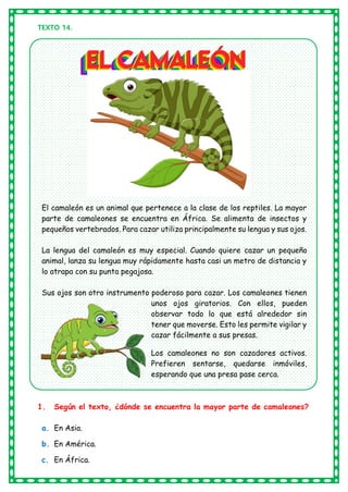 TEXTO 14.
El camaleón es un animal que pertenece a la clase de los reptiles. La mayor
parte de camaleones se encuentra en África. Se alimenta de insectos y
pequeños vertebrados. Para cazar utiliza principalmente su lengua y sus ojos.
La lengua del camaleón es muy especial. Cuando quiere cazar un pequeño
animal, lanza su lengua muy rápidamente hasta casi un metro de distancia y
lo atrapa con su punta pegajosa.
Sus ojos son otro instrumento poderoso para cazar. Los camaleones tienen
unos ojos giratorios. Con ellos, pueden
observar todo lo que está alrededor sin
tener que moverse. Esto les permite vigilar y
cazar fácilmente a sus presas.
Los camaleones no son cazadores activos.
Prefieren sentarse, quedarse inmóviles,
esperando que una presa pase cerca.
1. Según el texto, ¿dónde se encuentra la mayor parte de camaleones?
a. En Asia.
b. En América.
c. En África.
 