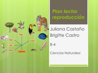 Plan lector
reproducción
Juliana Castaño
Brigitte Castro
8-4
Ciencias Naturales!
 