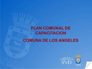 PLAN COMUNAL DE CAPACITACION COMUNA DE LOS ANGELES 