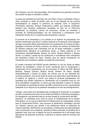 PLAN MAESTRO PARQUE NACIONAL CORDILLERA AZUL
2017-2021
Página 24 de 68
alto Yanayacu, que son casi inaccesibles. Este ecosistema que garantiza el servicio
de provisión de agua en cantidad y calidad.
La pesca de subsistencia en grandes ríos como Biavo, Pauya, Cushabatay, Pisqui y
otros, constituye un factor de presión, pero con el uso regulado de sus recursos
hidrobiológicos se asegura la presencia de especies como el boquichico
(Prochilodus nigricans), taricaya (Podocnemis unifilis), que además constituyen
alimento para mantener poblaciones saludables de lobo de río (Pteronura
brasiliensis). La presencia, número de encuentros, número de individuos y
promedio de individuos/patrullajes, son las condiciones a considerarse como
indicadores de lobo de río y presencia para boquichico y taricaya.
El aumento de la temperatura y los cambios en el régimen de precipitación son
factores ambientales que tienen un efecto potencial en la alteración físico-biológica
del agua que puede afectar potencialmente a los ecosistemas de Cuerpos de Agua,
Aguajales y Pantanos de Altura; asimismo, los efectos de cambios de distribución
de especies (especies más vulnerables son las de rango restringido) y posible
desplazamiento altitudinal de ecosistemas tienen un efecto potencial en los
ecosistemas Arbustal/Herbazal, Bosque de Colina, Bosque Montano y Bosque
Aluvial. La calidad y caudal son las condiciones a considerarse como indicadores
del ecosistema Cuerpo de Agua, mientras para los demás ecosistemas los
indicadores son la cobertura vegetal y el estado de conservación.
El modelo conceptual del PNCAZ permite identificar la ruta por donde se deben
elaborar las estrategias o líneas de acción necesarias para la conservación y
recuperación de los ecosistemas que se encuentran al interior del ANP (Bosque
Montano, Bosque Colinoso, Bosque Aluvial, Pantano de Altura, Aguajal,
Arbustal/Herbazal y Cuerpo de Agua), las mismas que se ven afectadas por
acciones antrópicas. Una de las líneas de acción que actúa sobre varios factores es
el sistema de vigilancia y control, que realiza el personal guardaparque con
patrullajes que pueden realizarse en coordinación con la población local y/o con
otras autoridades competentes, el mismo que está destinado a reducir el impacto
de actividades no permitidas al interior del ANP y preventivas en ZA, eventualmente
realizadas en su mayoría por la población asentada en la zona de amortiguamiento.
También, como parte de la estrategia está considerado la Inscripción en el registro
de ANP y la Demarcación física de los límites del PNCAZ, el Monitoreo Ambiental y
la Investigación, que permitirá velar por el buen estado de conservación del ANP.
Asimismo, se contempla como línea de acción el Fortalecimiento de la Gestión
Participativa, con la cual se implementa el Fortalecimiento de Capacidades Locales
para la Conservación-FOCAL, para promover la planificación estratégica comunal
con reflexión conjunta que permita a las poblaciones liderar su desarrollo de
manera sostenible, identificando sus prioridades y fortaleciendo sus potencialidades
como la promoción de la artesanía, actividad turística ordenada, en beneficio de la
población local, esto con el objetivo de que los pobladores de la ZA tengan otras
alternativas de desarrollo económico y disminuir la presión sobre los recursos del
PNCAZ.
 