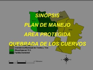 SINOPSIS
    PLAN DE MANEJO
    AREA PROTEGIDA
QUEBRADA DE LOS CUERVOS
 