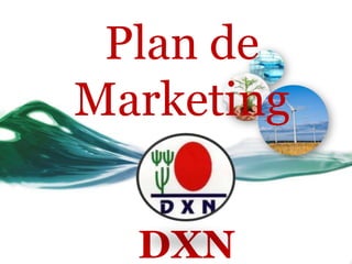 Plan de
Marketing


  DXN
 