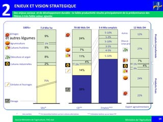14Ministère de l’Agriculture 14Ministère de l’Agriculture
* Hors jachère ** CA reconstitué bottom up hors cultures alternatives *** Estimation bottom up sur base ETP
2%
8%
5%
9%
1%Agrumiculture
Oléiculture et argan
Céréales et fourrages
75%
7,4 Mio ha
Maraîchages
et autres légumes
Cultures fruitières
Cultures industrielles
Elevage
38%
14%
4%
11%
7%
24%
2%
70-80 Mds DH
5-10%
1-2%
5-10%
3-5%
4-5%
5-10%
60-70%
3-4 Mio emplois
Emplois***CA**SAU*
100%=
4%
7%
12%
27%
1%
12 Mds DH
22%
24%
3%
Export agroalimentaire
ProduitsfraisProduitstransformés
Olive et
corps gras
Autres
2 Des enjeux sociaux et de développement durable : la faible productivité résulte principalement de la prédominance des
filières à très faible valeur ajoutée
Source:Ministère de l’agriculture, FAO stat
ENJEUX ET VISION STRATEGIQUE
 