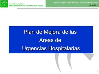 Plan de Mejora de las Áreas de Urgencias Hospitalarias
junio 2014
1
Plan de Mejora de lasPlan de Mejora de las
Áreas deÁreas de
Urgencias HospitalariasUrgencias Hospitalarias
 