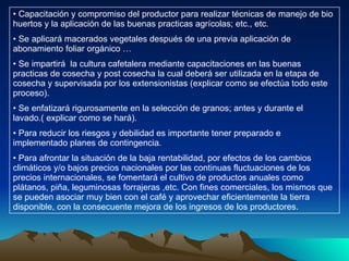 Capacitación y compromiso del productor para realizar técnicas de manejo de bio huertos y la aplicación de las buenas practicas agrícolas; etc., etc. Se aplicará macerados vegetales después de una previa aplicación de abonamiento foliar orgánico … Se impartirá  la cultura cafetalera mediante capacitaciones en las buenas practicas de cosecha y post cosecha la cual deberá ser utilizada en la etapa de cosecha y supervisada por los extensionistas (explicar como se efectúa todo este proceso). Se enfatizará rigurosamente en la selección de granos; antes y durante el lavado.( explicar como se hará). Para reducir los riesgos y debilidad es importante tener preparado e implementado planes de contingencia. Para afrontar la situación de la baja rentabilidad, por efectos de los cambios climáticos y/o bajos precios nacionales por las continuas fluctuaciones de los precios internacionales, se fomentará el cultivo de productos anuales como plátanos, piña, leguminosas forrajeras ,etc. Con fines comerciales, los mismos que se pueden asociar muy bien con el café y aprovechar eficientemente la tierra disponible, con la consecuente mejora de los ingresos de los productores. 