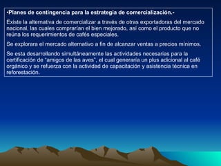 Planes de contingencia para la estrategia de comercialización.- Existe la alternativa de comercializar a través de otras exportadoras del mercado nacional, las cuales comprarían el bien mejorado, así como el producto que no reúna los requerimientos de cafés especiales. Se explorara el mercado alternativo a fin de alcanzar ventas a precios mínimos. Se esta desarrollando simultáneamente las actividades necesarias para la certificación de “amigos de las aves”, el cual generaría un plus adicional al café orgánico y se refuerza con la actividad de capacitación y asistencia técnica en reforestación. 