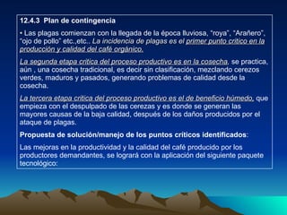 12.4.3  Plan de contingencia Las plagas comienzan con la llegada de la época lluviosa, “roya”, “Arañero”, “ojo de pollo” etc.,etc..  La incidencia de plagas es el  primer punto critico en la producción y calidad del café orgánico. La segunda etapa critica del proceso productivo es en la cosecha ,  se practica, aún , una cosecha tradicional, es decir sin clasificación, mezclando cerezos verdes, maduros y pasados, generando problemas de calidad desde la cosecha. La tercera etapa critica del proceso productivo es el de beneficio húmedo,  que empieza con el despulpado de las cerezas y es donde se generan las mayores causas de la baja calidad, después de los daños producidos por el ataque de plagas. Propuesta de solución/manejo de los puntos críticos identificados : Las mejoras en la productividad y la calidad del café producido por los productores demandantes, se logrará con la aplicación del siguiente paquete tecnológico: 