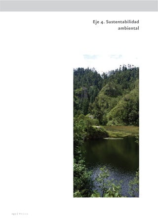 Eje 4. Sustentabilidad
                           ambiental




232 | México
 
