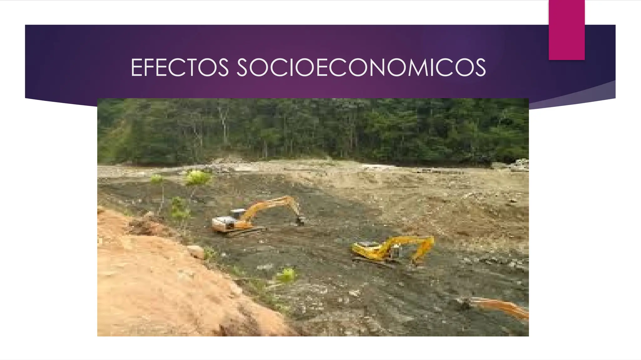 EFECTOS SOCIOECONOMICOS
 