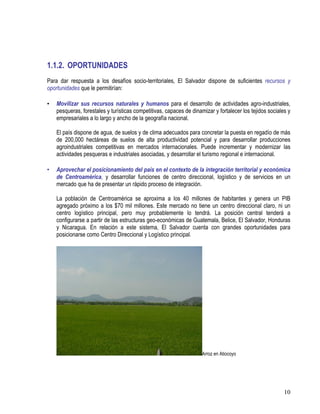 10
1.1.2. OPORTUNIDADES
Para dar respuesta a los desafíos socio-territoriales, El Salvador dispone de suficientes recursos y
oportunidades que le permitirían:
• Movilizar sus recursos naturales y humanos para el desarrollo de actividades agro-industriales,
pesqueras, forestales y turísticas competitivas, capaces de dinamizar y fortalecer los tejidos sociales y
empresariales a lo largo y ancho de la geografía nacional.
El país dispone de agua, de suelos y de clima adecuados para concretar la puesta en regadío de más
de 200,000 hectáreas de suelos de alta productividad potencial y para desarrollar producciones
agroindustriales competitivas en mercados internacionales. Puede incrementar y modernizar las
actividades pesqueras e industriales asociadas, y desarrollar el turismo regional e internacional.
• Aprovechar el posicionamiento del país en el contexto de la integración territorial y económica
de Centroamérica, y desarrollar funciones de centro direccional, logístico y de servicios en un
mercado que ha de presentar un rápido proceso de integración.
La población de Centroamérica se aproxima a los 40 millones de habitantes y genera un PIB
agregado próximo a los $70 mil millones. Este mercado no tiene un centro direccional claro, ni un
centro logístico principal, pero muy probablemente lo tendrá. La posición central tenderá a
configurarse a partir de las estructuras geo-económicas de Guatemala, Belice, El Salvador, Honduras
y Nicaragua. En relación a este sistema, El Salvador cuenta con grandes oportunidades para
posicionarse como Centro Direccional y Logístico principal.
Arroz en Atiocoyo
 