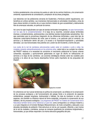 37
turística paralelamente a las acciones de puesta en valor de los centros históricos y de conservación
ambiental, especialmente de consolidación y ampliación de las áreas protegidas.
Las relaciones con las poblaciones cercanas de Guatemala y Honduras podrán regularizarse, con
beneficios en ambos sentidos. Las inversiones internacionales en actividades industriales y otras de
base urbana tendrán el incentivo de un nuevo territorio dotado de gran accesibilidad y relativamente
libre de amenazas naturales, en particular de sismos.
Así como los ejes longitudinales son ejes de bandas territoriales homogéneas, los ejes transversales
son los ejes de la complementariedad. A lo largo de su recorrido, conectan piezas territoriales
diversas y complementarias, pertenecientes a las distintas bandas longitudinales salvadoreñas. Son
ejes esenciales para la provechosa integración de las diferencias territoriales y para todo tipo de
relaciones costa-interior-fronteras del norte; para el turismo; y en particular para el comercio, los
servicios y la distribución dentro del país y el acceso a la importación-exportación y actividades
derivadas. Las vías transversales más potentes son y serán las del Occidente y Centro del país
Los nudos de la red de carreteras estructurantes suelen estar en ciudades o junto a ellas; las
ciudades crecerán extraordinariamente en los próximos años, sobre todo si se cumplen los criterios
del PNODT relativos a la necesidad de concentrar el crecimiento poblacional en tramas urbanas
coherentes, equipadas y oportunamente gestionadas en lugar de diluirlo en lotificaciones sin
servicios a lo largo de las carreteras. Las acciones estratégicas directas sobre las ciudades para
ponerlas a la altura de sus futuros desempeños forman parte importante de las propuestas del
PNODT.
Agalychnis moreletii
En coherencia con las nuevas tendencias en política de conservación, se enfatiza en la conservación
de los procesos ecológicos y del funcionamiento del paisaje frente a la protección de especies
emblemáticas, paisajes singulares, biodiversidad o hábitats. Se trata de mantener no sólo a las
especies, sino también su dinámica natural de forma sostenible, incluyendo la conservación de sus
hábitats y de los procesos ecológicos. Los programas del PNODT en materia de Conservación de la
Naturaleza también tienen como referencia un país-red, como corresponde a un enfoque moderno y
a un país integrado en el Corredor Biológico Mesoamericano, de modo compatible y adecuado a sus
elevadas densidades de población. Esta estructura en red es, por supuesto, diferente y casi inversa
de la red de ciudades y carreteras, aunque se compone igualmente de corredores longitudinales y
transversales, ya que ambas responden a la misma estructura geográfica del país.
 