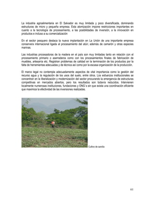 61
La industria agroalimentaria en El Salvador es muy limitada y poco diversificada, dominando
estructuras de micro y pequeña empresa. Esta atomización impone restricciones importantes en
cuanto a la tecnología de procesamiento, a las posibilidades de inversión, a la innovación en
productos e incluso a su comercialización
En el sector pesquero destaca la nueva implantación en La Unión de una importante empresa
conservera internacional ligada al procesamiento del atún; además de camarón y otras especies
marinas.
Las industrias procesadoras de la madera en el país son muy limitadas tanto en relación con el
procesamiento primario o aserraderos como con los procesamientos finales de fabricación de
muebles, artesanía etc. Registran problemas de calidad en la terminación de los productos por la
falta de herramientas adecuadas y de técnica así como por la escasa organización de la producción.
El marco legal no contempla adecuadamente aspectos de vital importancia como la gestión del
recurso agua y la regulación de los usos del suelo, entre otros. Los esfuerzos institucionales se
concentran en la liberalización y modernización del sector procurando la emergencia de estructuras
competitivas en mercados abiertos, pero los resultados son todavía reducidos. Intervienen
localmente numerosas instituciones, fundaciones y ONG´s sin que exista una coordinación eficiente
que maximice la efectividad de las inversiones realizadas.
Cultivo de sandía
 