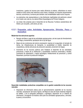 63
inversiones y gastos de insumos pero restan eficiencia al sistema, utilizándose en menor
medida en otros rubros más intensivos como frutas y hortalizas, de mayores requerimientos
técnicos, económicos y humanos pero también unas rentabilidades netas mucho mayores.
• Los elementos más representativos (y más fácilmente mapificables) del patrimonio cultural
en el medio rural, esto es, los catorce Sitios Arqueológicos de Primera Categoría.
• Las áreas más propicias para el desarrollo de los Recursos Turísticos característicos del
Interior, por una parte, y del Litoral, por otra.
4.3.2.1. Propuestas sobre Actividades Agropecuarias, Silvícolas, Pesca y
Acuicultura
Modernizar las estructuras agrarias:
• Revisión del Marco Legal de las actividades agropecuarias y de las Leyes de Arrendamiento
y de Riego y Avenamiento; aprobación de la Ley del Agua.
• Mejora de las condiciones del entorno empresarial: mejoras en la seguridad, el mercado de
tierras, las infraestructuras de transporte, la accesibilidad al crédito; desarrollo de
cooperativas y demás estructuras de producción asociada; prevención de riesgos.
• Incremento de los recursos públicos para fortalecer el desarrollo de las actividades
productivas y mejora de su distribución y accesibilidad; incentivos comerciales y fiscales;
incremento de capacitación y mejora tecnológica; fortalecimiento de prevención y control
fitosanitario; promover la producción biológica.
Camarón
Desarrollar modalidades productivas compatibles con la gestión sostenible de los recursos
naturales:
• Disposición de información básica para el aprovechamiento sostenible de los recursos
naturales: actualización del Censo Agrario, del Mapa de Usos del Suelo mediante imágenes
de satélite, y de la cartografía pedológica y agrológica; disposición de un Sistema de
información y divulgación de factores clave para las actividades agropecuarias y silvícolas,
la pesca y la acuicultura.
 