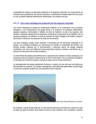 71
la posibilidad de realizar una adecuada ordenación en el desarrollo urbanístico. En consecuencia, es
necesario que la planificación de recursos naturales y la planificación territorial determinen las zonas
en que no podrán realizarse edificaciones residenciales o de cualquier otro tipo.
4.4.1.2. Una nueva estrategia de protección de los espacios naturales
Las nuevas tendencias en política de conservación enfatizan en la conservación de los procesos
ecológicos y del funcionamiento del paisaje frente a la protección de especies emblemáticas,
paisajes singulares, biodiversidad o hábitats. Se trata de mantener no sólo a las especies, sino
también su dinámica natural de forma sostenible, incluyendo la conservación de sus hábitats y de los
procesos ecológicos. En definitiva, se trata de mantener los flujos ecológicos (de materia, energía e
información) a través de una estructura de redes de conservación.
Los flujos ecológicos pueden verse reducidos o favorecidos por las estructuras existentes en el
paisaje. Los corredores ecológicos son estructuras que facilitan la conectividad del territorio. Las
barreras pueden originarse por el funcionamiento y estructura natural del paisaje (cadenas
montañosas, ríos, etc.) o por influencia humana (agricultura intensiva, carreteras, vías férreas, etc.) y
producen la interrupción de los flujos ecológicos.
La conectividad del paisaje queda definida por la capacidad para mantener los flujos ecológicos y las
conexiones entre los espacios y elementos de la red de conservación. En los corredores ecológicos,
la intensidad de los flujos de materia y energía es mayor que en el resto del territorio.
La heterogeneidad del paisaje salvadoreño favorece un mosaico de usos del suelo que facilita una
alta diversidad de especies. Los paisajes heterogéneos, adecuadamente gestionados, pueden llegar
a conformar corredores amplios con una importante función conectiva.
Volcán Izalco (Parque Nacional Los Volcanes)
Sin embargo, a pesar de este potencial, el nivel actual de protección del patrimonio natural en el país
se halla muy lejos del óptimo, tanto desde el punto de vista cualitativo como cuantitativo, situación
 