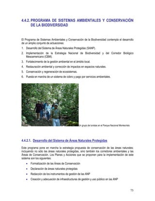 75
4.4.2. PROGRAMA DE SISTEMAS AMBIENTALES Y CONSERVACIÓN
DE LA BIODIVERSIDAD
El Programa de Sistemas Ambientales y Conservación de la Biodiversidad contempla el desarrollo
de un amplio conjunto de actuaciones:
1. Desarrollo del Sistema de Áreas Naturales Protegidas (SANP).
2. Implementación de la Estrategia Nacional de Biodiversidad y del Corredor Biológico
Mesoamericano (CBM).
3. Fortalecimiento de la gestión ambiental en el ámbito local.
4. Restauración ambiental y corrección de impactos en espacios naturales.
5. Conservación y regeneración de ecosistemas.
6. Puesta en marcha de un sistema de cobro y pago por servicios ambientales.
Un grupo de turistas en el Parque Nacional Montecristo
4.4.2.1. Desarrollo del Sistema de Áreas Naturales Protegidas
Este programa pone en marcha la estrategia propuesta de conservación de las áreas naturales;
incluyendo no sólo las áreas naturales protegidas, sino también los corredores ambientales y las
Áreas de Conservación. Los Planes y Acciones que se proponen para la implementación de este
sistema son los siguientes:
• Formalización de las Áreas de Conservación
• Declaración de áreas naturales protegidas
• Redacción de los instrumentos de gestión de las ANP
• Creación y adecuación de infraestructuras de gestión y uso público en las ANP
 