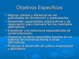 Objetivos Específicos
 Mejorar calidad y eficiencia en las
  actividades de recolección y postcosecha.
 Desarrollar capacidades organizativas y de
  negociación para intervenir en los mercados
  alternativos.
 Establecer una estructura especializada de
  comercialización.
 Organizar la oferta exportable basada en un
  sistema de incentivos frente a otras
  alternativas.
 Propiciar el desarrollo de cultura empresarial
  y asociativa.
 