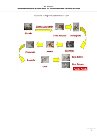 Plan de Negocio:
”Instalación e implementación de crianzas de cuyes en el Distrito de Jequetepeque – Pacasmayo – La Libertad”
10
Ilustración 3: Diagrama del beneficio de Cuyes
 