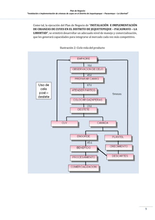 Plan de Negocio:
”Instalación e implementación de crianzas de cuyes en el Distrito de Jequetepeque – Pacasmayo – La Libertad”
9
Como tal, la ejecución del Plan de Negocio de ”INSTALACIÓN E IMPLEMENTACIÓN
DE CRIANZAS DE CUYES EN EL DISTRITO DE JEQUETEPEQUE – PACASMAYO – LA
LIBERTAD”, se ermitirá desarrollar un adecuado nivel de manejo y comercialización,
que les generará capacidades para integrarse al mercado cada vez más competitivo.
Ilustración 2: Ciclo vida del producto
 