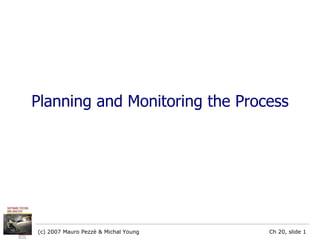 Planning and Monitoring the Process 