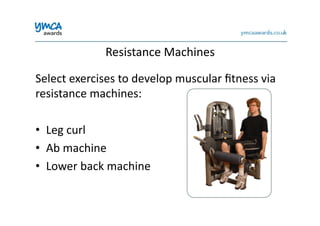 Resistance	
  Machines	
  
Select	
  exercises	
  to	
  develop	
  muscular	
  ﬁtness	
  via	
  
resistance	
  machines:	
  
•  Leg	
  curl	
  
•  Ab	
  machine	
  
•  Lower	
  back	
  machine	
  
 